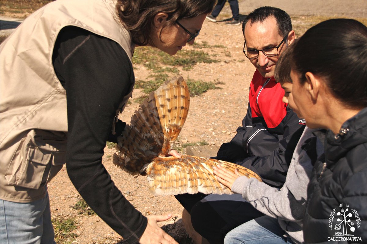 🌳 Castelló impulsa la segona convocàtoria per organitzar activitats d'educació ambiental en estiu. 

👉 Les entitats interessades tenen 10 dies per presentar la proposta.

➡️ Més info a través de transicioecologica@castello.es o el telèfon 964220592.

ℹ️ bit.ly/42te34N
