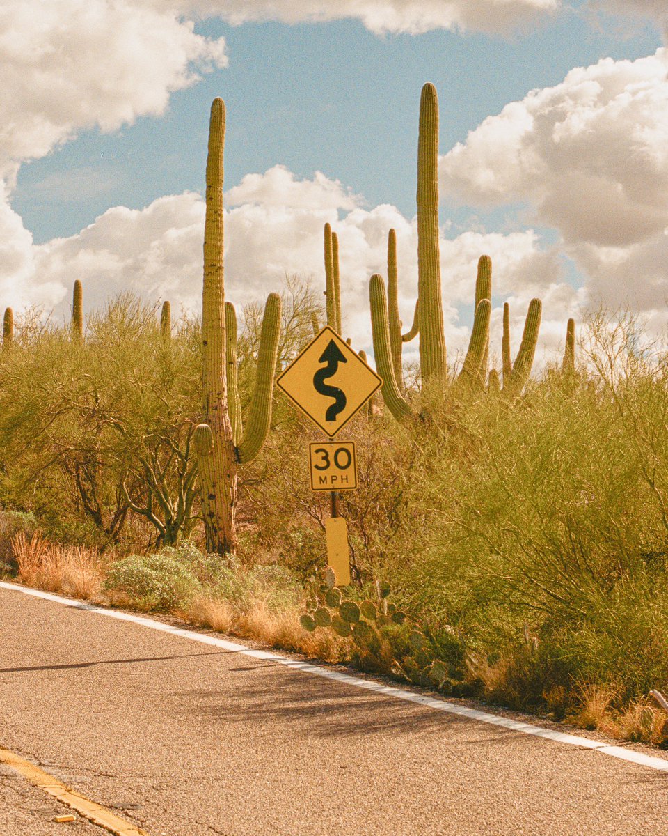 seeing signs in the desert