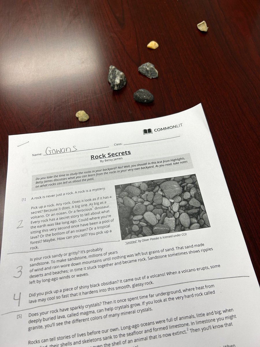 When you find out a student loves rocks, you have them bring the rock collection and read a passage on rocks #SuccessIsOurStory