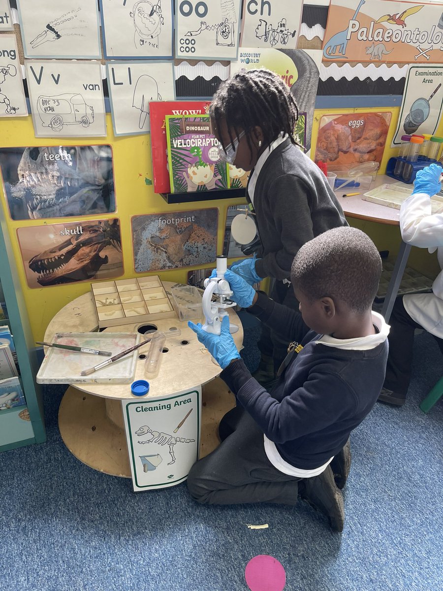 MissRoche2's tweet photo. Last week we were very curious learners exploring our palaeontology lab. We also made muddy dinosaur swamps outside, working on teamwork. 🦖 🦕 🔎 🥼 🧪 🔬  @woodside_school https://t.co/LNSKNgznOd