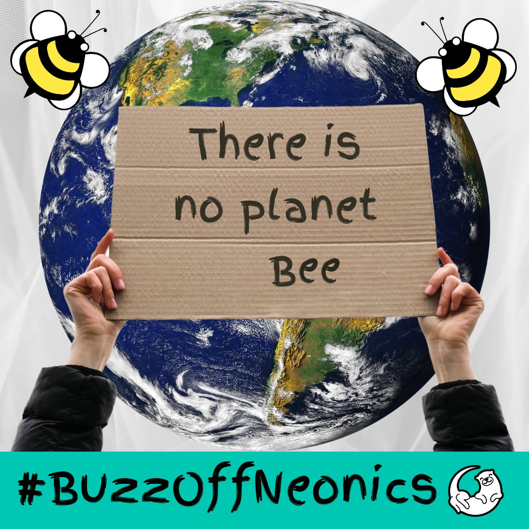 GRActivists's tweet photo. Neonics are putting our precious #pollinators in danger!
Make a statement and a safe haven by building a bee refuge!
Learn how here π
https://t.co/j3YXqJCIA6
Learn more about our #BuzzOffNeonics #Campaign here π
https://t.co/E4og7djYVN
#BankHoliday #environment #nature https://t.co/rfpemTWj5u