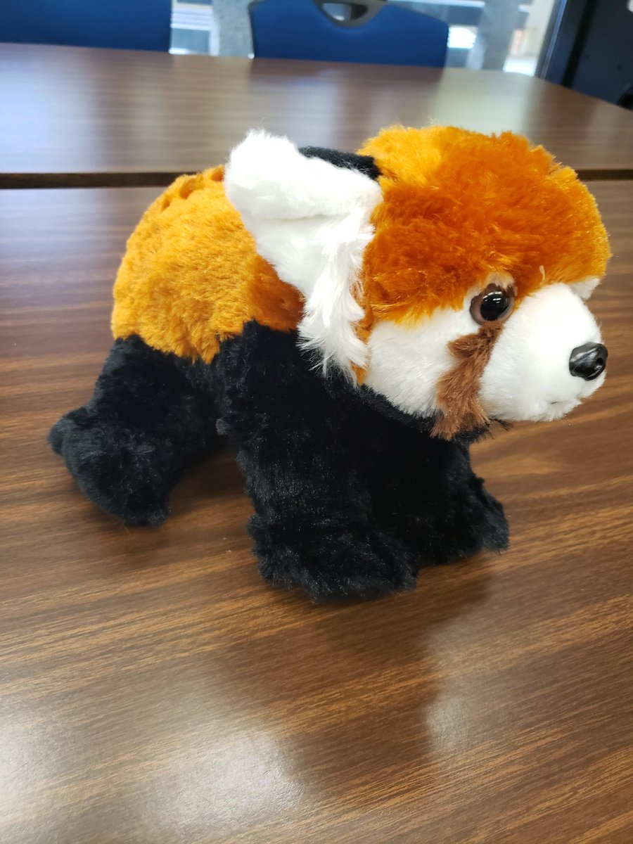 WayneEMCHS's tweet image. The WEMCHS Environmental Awareness Club is working to help save the red panda. The club sold stickers and raised enough money to officially adopt a red panda! Shout out to McKenzie B for designing the sticker. Way to go EAC!