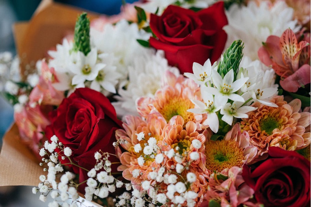 wineflowers's tweet photo. Fiori Per Congratulazioni: 5 Omaggi Floreali Per Congratularsi

https://t.co/OtX1if75I7 https://t.co/b9i2iqarze