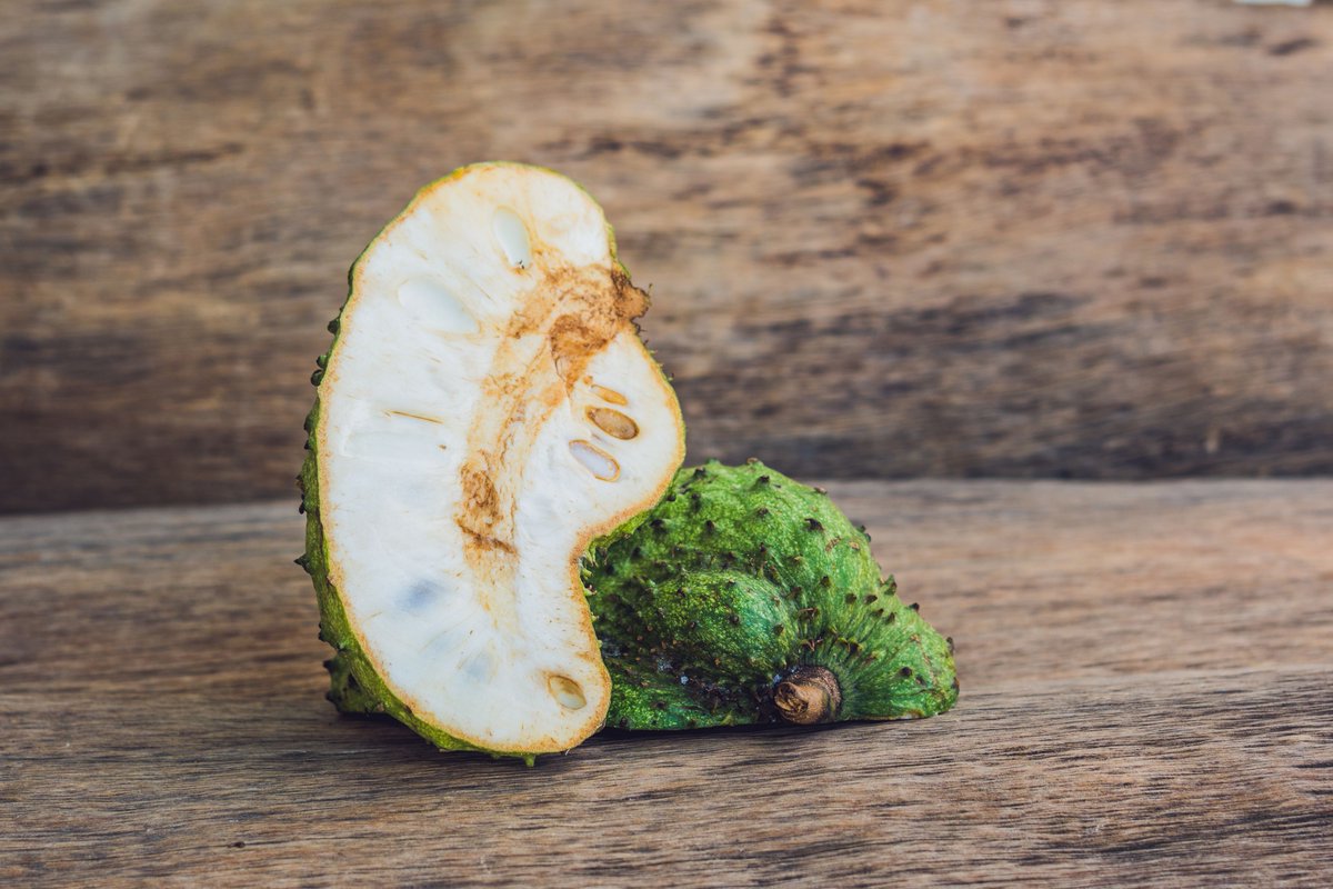 EarthVitamins's tweet photo. The leaves, stem &amp; bark of Soursop contain acetogenins that are known to fight abnormal cell growth. Research is underway to further investigate the potential link between consuming guyabano &amp; destroying malignant abnormal cell growth.

https://t.co/6pxsDEqnVs https://t.co/LtV5fr1167