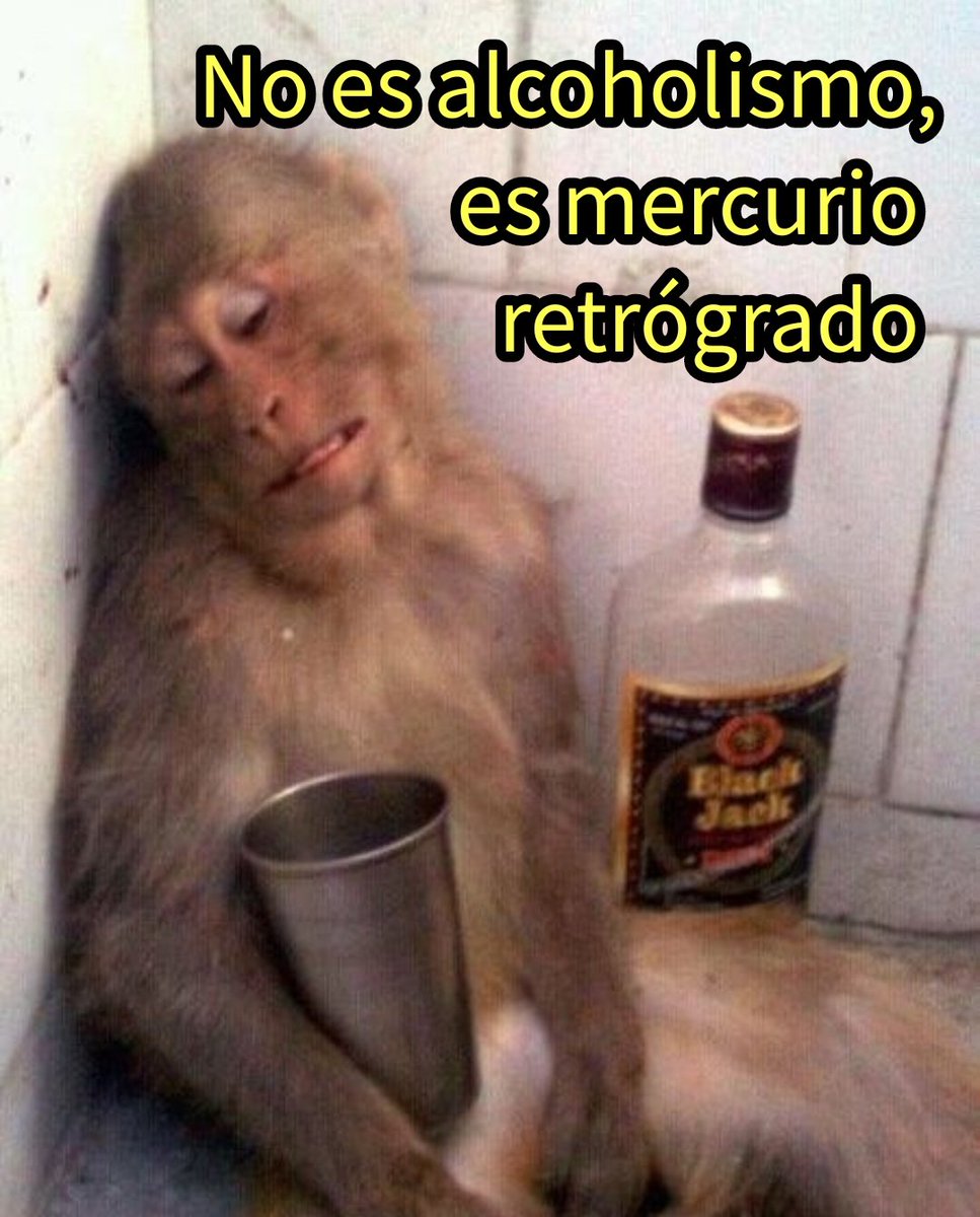 punk_y_cursi's tweet photo. Buenos días, amigazo. https://t.co/y6vMOtKZoY