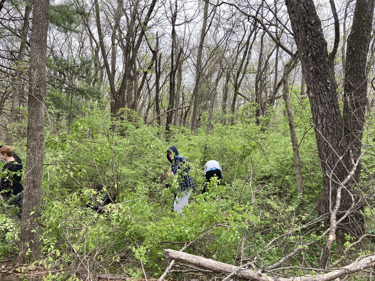 Coach_Dose's tweet photo. SEPC and Env Sci students making quick work or eradicating honeysuckle at Jester Park today! @NorthPolkHS Before and After Photos https://t.co/jbz3r07Iwv