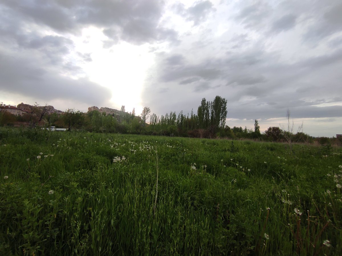 Have a good night
#nftcommunity