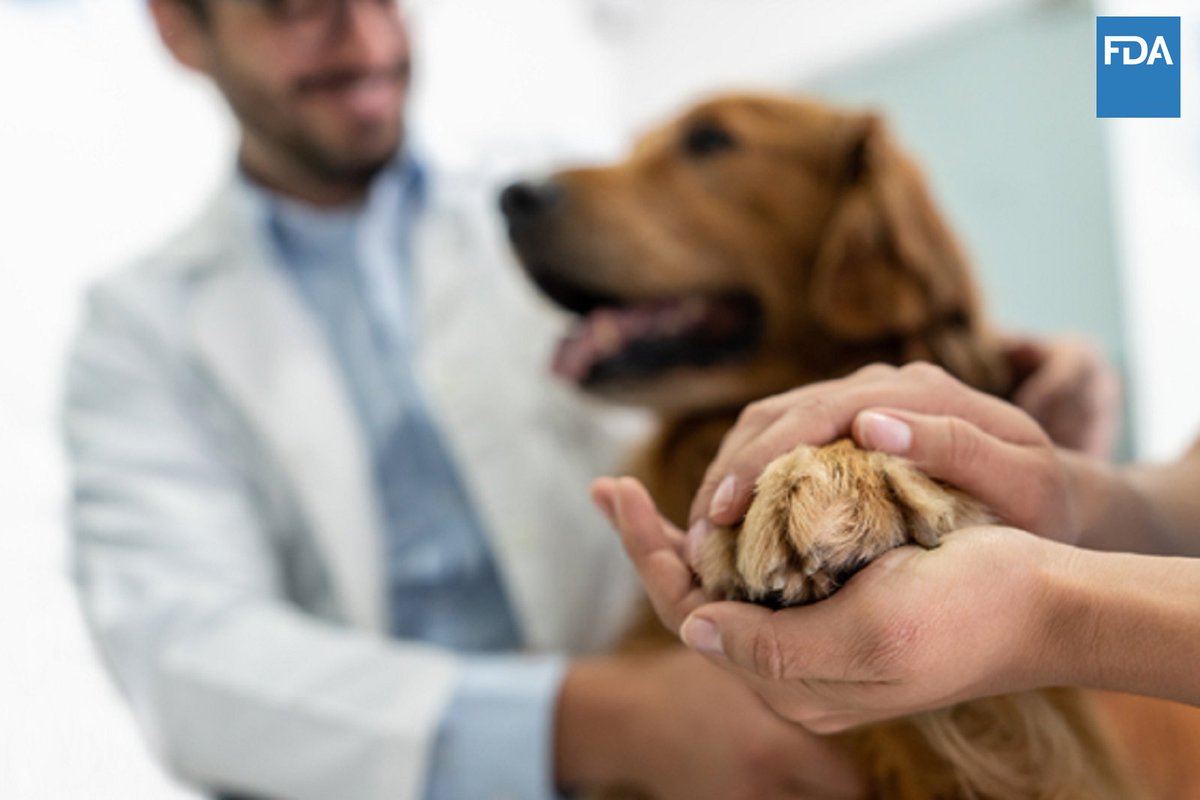 Today, FDA approved Librela for the control of pain associated with osteoarthritis in dogs. This drug is the first monoclonal antibody approved by the FDA for use in dogs. fda.gov/animal-veterin…