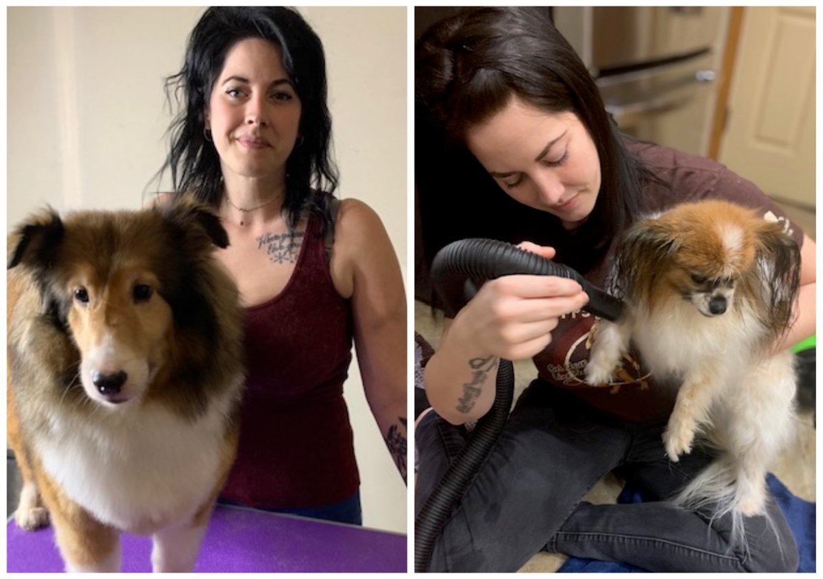 AlaskaComm's tweet photo. When it comes to giving back, we like to follow our employees’ lead. For Kody, on our service delivery team, it’s Kitty and K-9 Connection, an animal rescue, foster and adoption organization in Anchorage. (1/2) https://t.co/yIjcgXIFJD