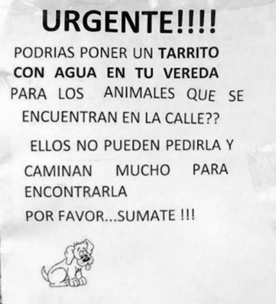 dquinterotv10's tweet photo. 🚨IMPORTANTE⚠️ La Ola de calor actual está muy fuerte, se hace más que necesario apoyar a los peludos que están en situación de calle, si no puedes adoptar al menos coloca  algún punto de hidratación cercano a tú vivienda. También puedes llevar agua a la mano y compartir🐶🐱🐕🐈 https://t.co/Efj05lTteO