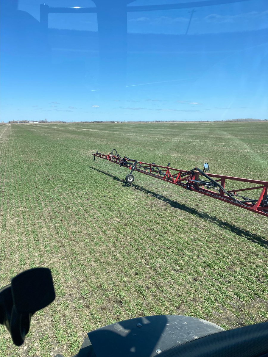 Neil Iverson tweet media