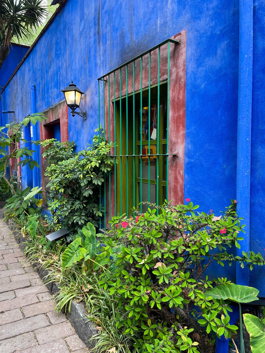 Casa Azul 💙 a garden of all time