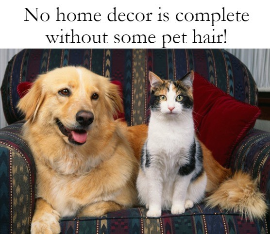HealthySol4Pets's tweet photo. 👍 if you agree!

Shop now for your favorite Healthy Solutions for Pets products for your 🐶 or 🐱.

Enjoy the #weekend with your furry friends! 🐾

https://t.co/JdFz60GcE9

#dogs #cats #pets https://t.co/DtzOYK2FrE