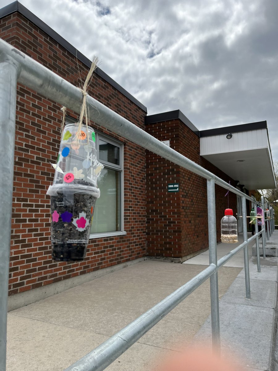 Our Gr2/3 class created some interesting wonderfully designed feeders that are being visited regularly by many of the local birds! <a href="/SCDSB_Schools/">Simcoe County District School Board</a> <a href="/scdsboutdoors/">@SCDSBoutdoors</a>