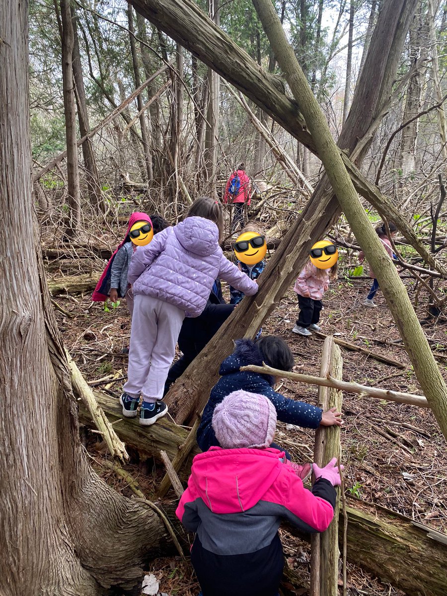 MsMWalker1's tweet photo. It’s a beautiful day for some forest adventures with @DennenyJ and her wonderful kindergarten class! @cedarhollowps https://t.co/xT5XxHKSA6