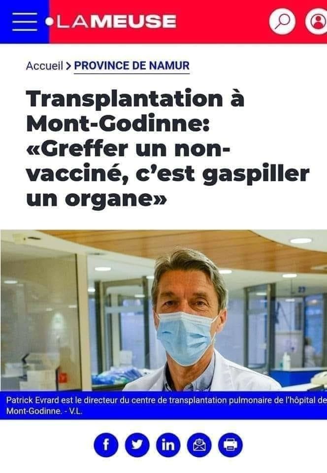 avnersolal's tweet image. Vous voulez savoir si vous auriez été collabo ou résistant pendant la dernière guerre mondiale ? 
Maintenant, vous pouvez.