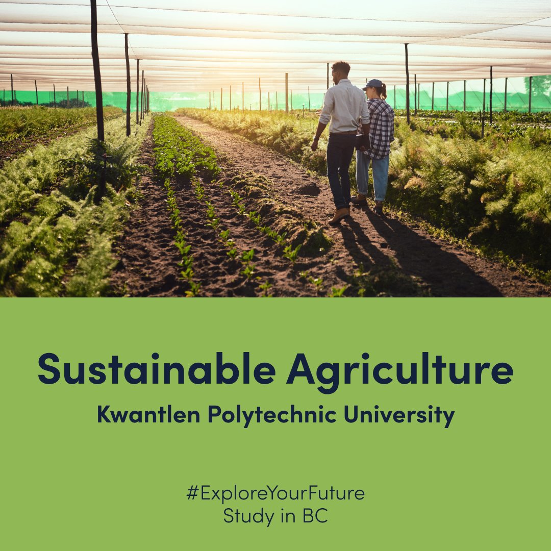 StudyinBC's tweet image. 🌱Become an eco-conscious farmer with KPU's Sustainable Agriculture program. Help create a greener future and promote sustainable food systems. #GoGreen #StudyInBC #ExploreYourFuture