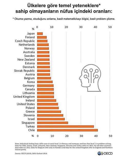 Türkiye'de nüfusun %39'u okuma-yazma, okuduğunu anlama, basit matematik ve problem çözme gibi temel yeteneklere sahip değil.Bu oran Polonya ve Yunanistan'da %20'den az. Türkiye temel yetenekler konusunda OECD ülkeleri arasında Şili ile birlikte son sırayı paylaşıyor.