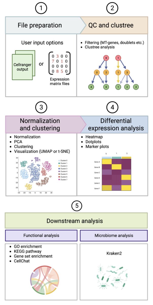 razoralign's tweet photo. cellsnake: a user-friendly tool for single cell RNA sequencing analysis https://t.co/eOvu2X5x2M https://t.co/EussjU4biK