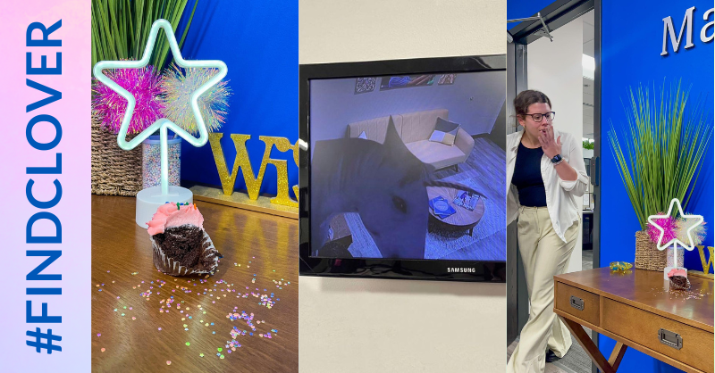 makeawishohkyin's tweet image. Clover paid our friends at @MakeAWishMOKAN a visit! "We couldn’t believe our eyes. He stole a bite of cupcake and left a glitter trail… only our security cameras caught him…" 

🦄 Send us your Clover clues: oki.wish.org/findclover 

#FindClover #MakeAWish #unicorn