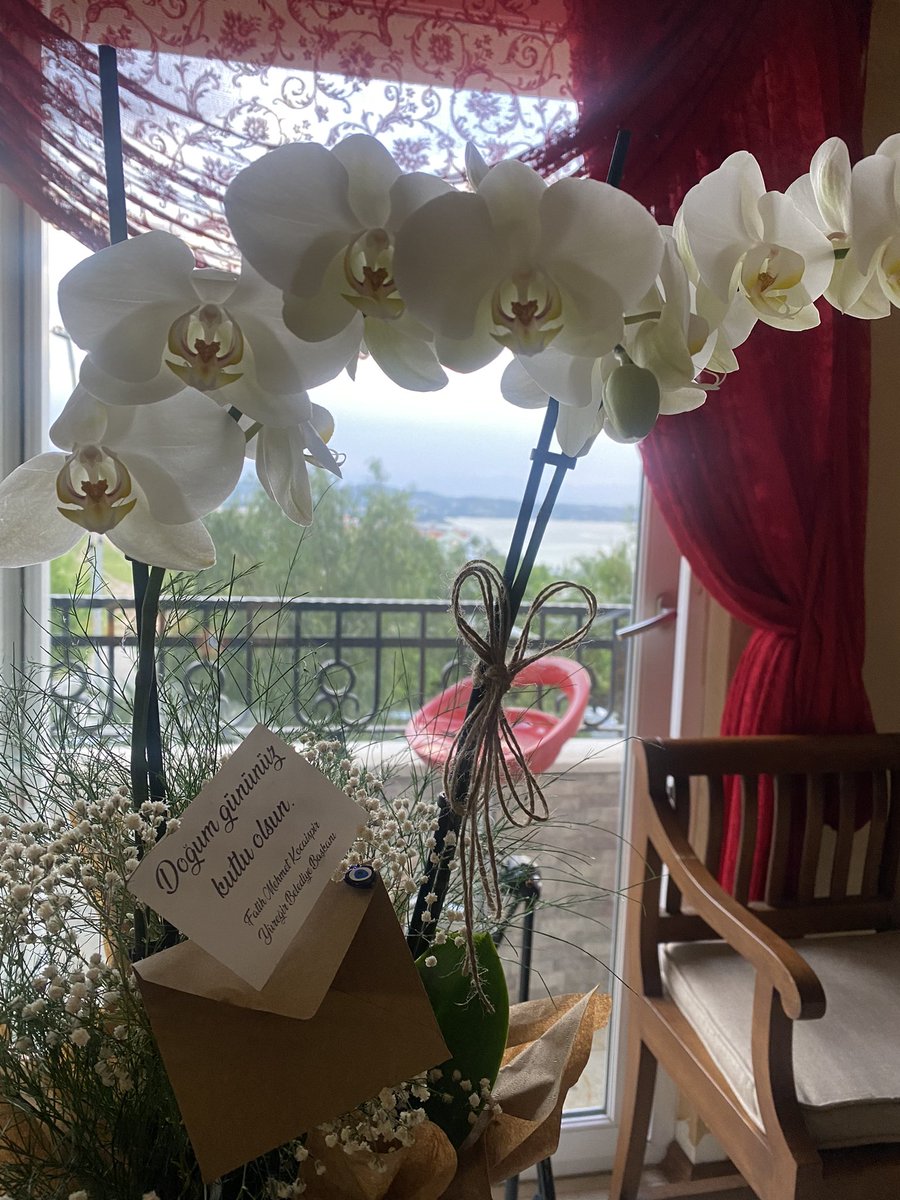 Doğum günümü kutlayan Yüreğir Belediye Başkanımız Sn. Fatih Kocaispir’e nezaketi için çok teşekkür ederim.
<a href="/fmkocaispir/">Fatih Mehmet Kocaispir</a> <a href="/sehmusbaysal/">Şehmus Baysal</a>