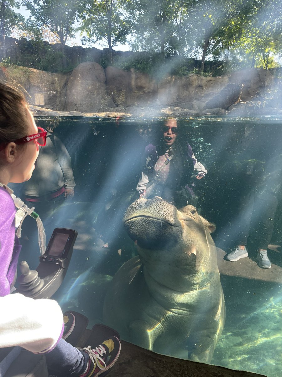 Mrs Shafer (@shaferscience) on Twitter photo Data collection day at the <a href="/CincinnatiZoo/">Cincinnati Zoo</a> for our Freshman Capstone Project. Currently exploring: Do the hippos prefer the water or land based on temperature?<a href="/ihpsfoundation/">Indian Hill Foundation</a> <a href="/ihsuperbrave/">Kirk Koennecke</a> @IHHSPrincipal #learnersasdoers <a href="/iteachshurts/">Kaitlin Shurts</a> <a href="/IH_Imrie/">Mrs. Imrie</a> Data collection day at the <a href="/CincinnatiZoo/">Cincinnati Zoo</a> for our Freshman Capstone Project. Currently exploring: Do the hippos prefer the water or land based on temperature?<a href="/ihpsfoundation/">Indian Hill Foundation</a> <a href="/ihsuperbrave/">Kirk Koennecke</a> @IHHSPrincipal #learnersasdoers <a href="/iteachshurts/">Kaitlin Shurts</a> <a href="/IH_Imrie/">Mrs. Imrie</a>