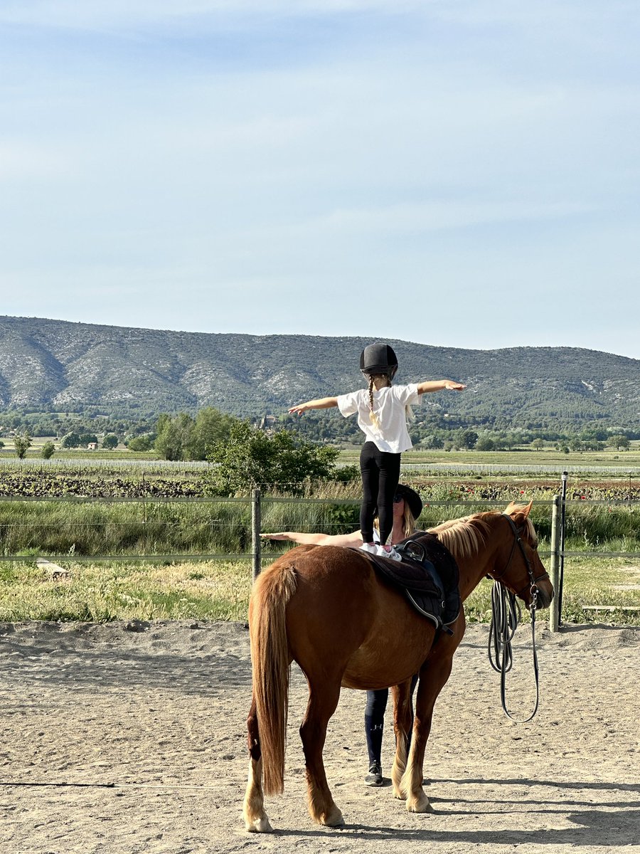 LMilotOfficiel's tweet image. Une jolie série de figures pour Lyana lors de son cours de voltige ! 😍 Je crois bien que son sport préféré est l’équitation ! 🤠
Quel était votre sport préféré lorsque vous étiez enfant ? Personnellement, c’était la danse 🥰
#cheval #equitation #voltige #sport