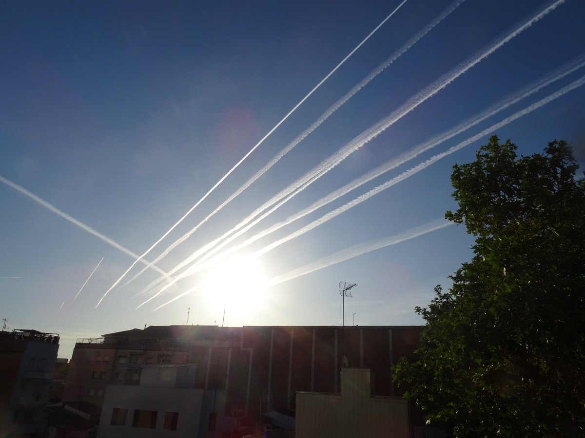 NicAldam's tweet photo. @Buenrolloreturn Barcelona esta mañana https://t.co/drZ5N7r2jZ
