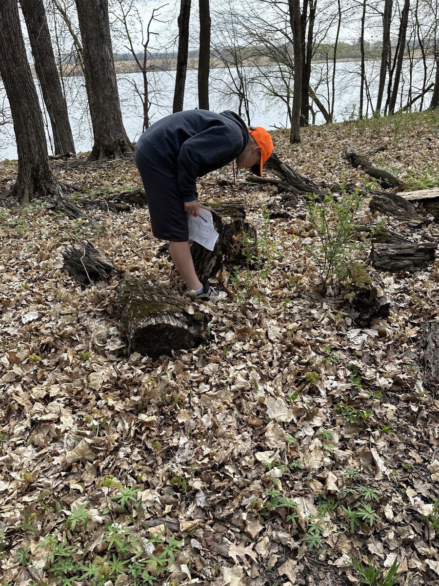 ron_wagner_ALSD's tweet photo. Experiential learning with ⁦@Halversontweets⁩ 5th graders. Deer, turkey and decomposers. 😊⁦@AlbertLeaSchool⁩ https://t.co/Vg9Hr1zASv