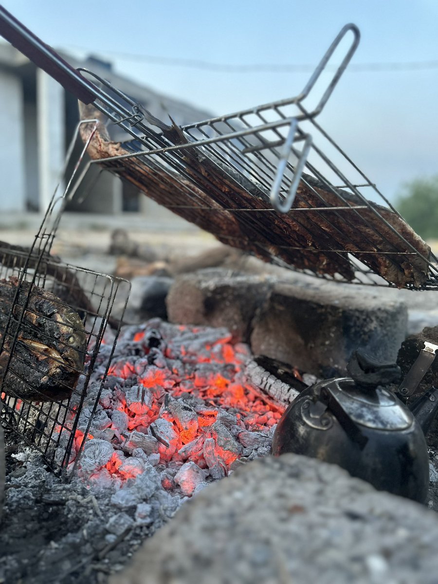 🐟 🔥