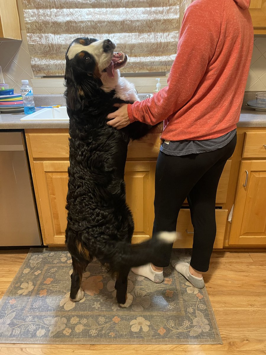 Andy Stayer tweet media