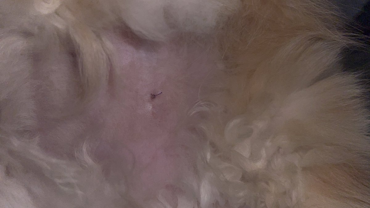 iRen (@claiiss) on Twitter photo 