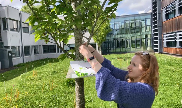 MARAf UK tweet media