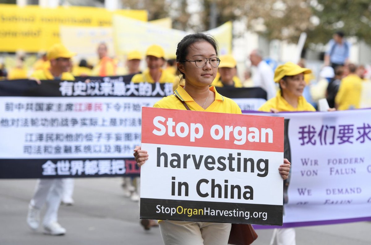susancrabtree's tweet photo. The Long Road To Confronting #China's War on Religion Part II: Organ Harvesting as a Tool of the #CCP's Brutal and Horrific Repression   

Leading researchers have painstakingly documented a reprehensible aspect of these life-ending organ extractions: that prisoners of conscience – religious minorities and political dissidents – are the main victims and the extractions are being done while the victims are still alive.  

https://t.co/AhdtghwFDv… #ReligiousFreedom #China #Uyghurs #FalunGong #NationalPrayerDay