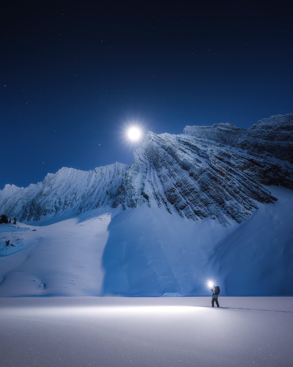 Jenna Dixon tweet media