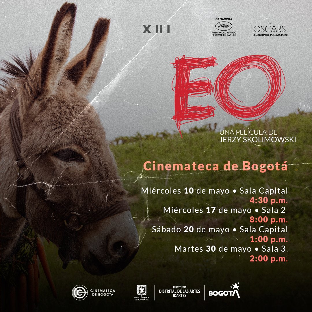 Interior XIII Colombia tweet media