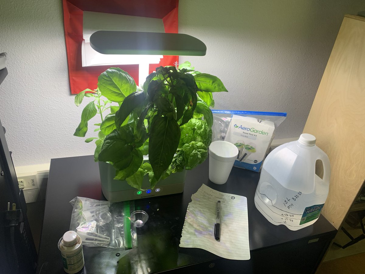 drocha_PHHS's tweet photo. Making bruschetta with some classroom grown basil 🌿 📝 https://t.co/AtYMES49tf
