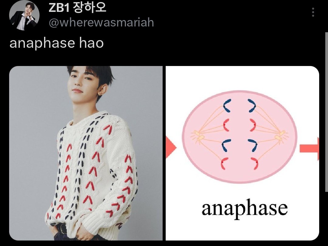 zb1outofcontext's tweet image. 