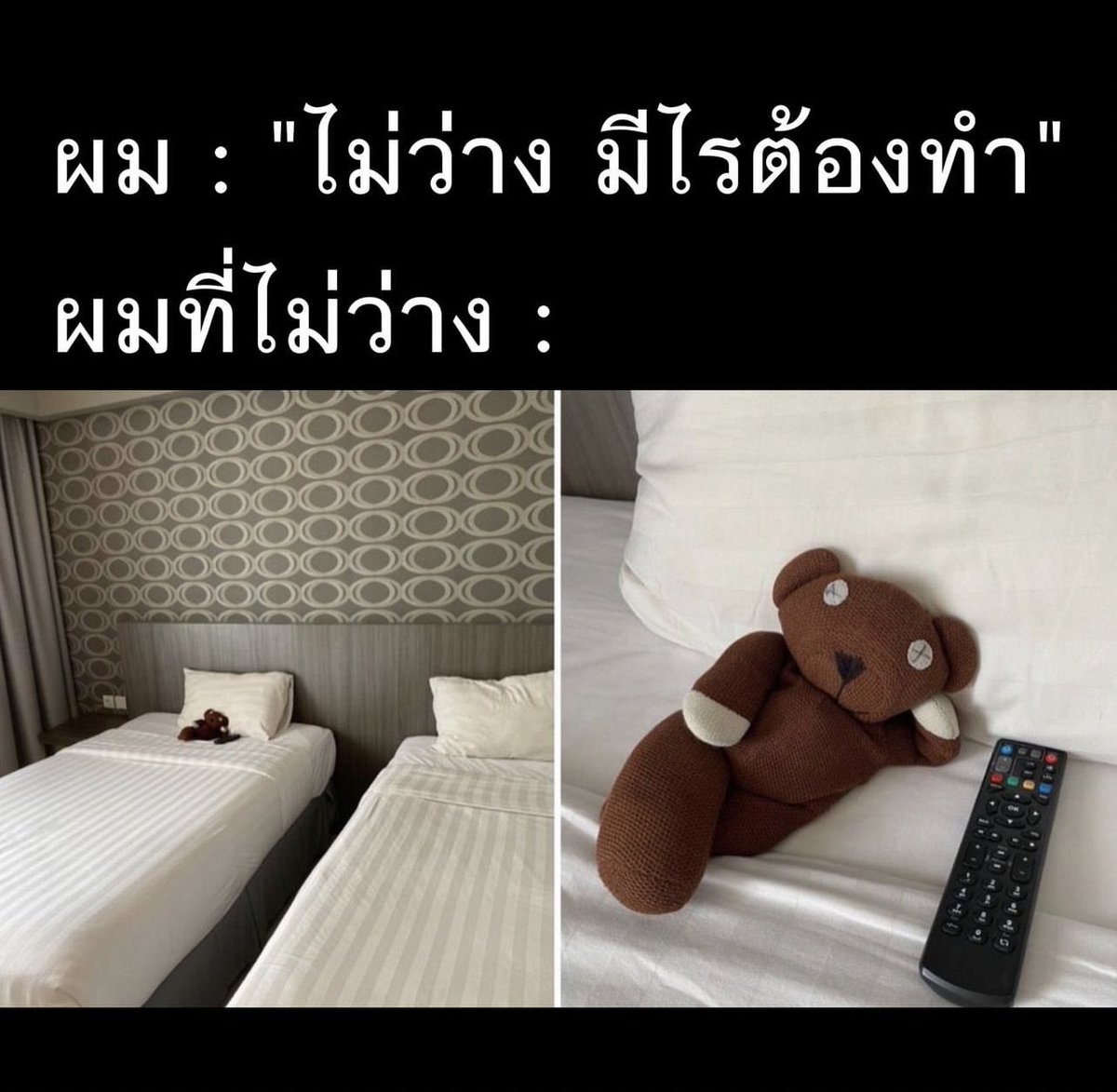 กุชัดๆเลยมึง555555555555555555555555555555555555555555555555