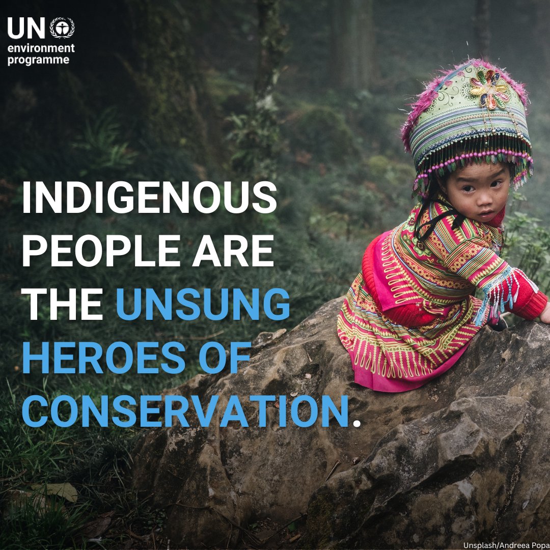 Every year, the world loses 12 million hectares of forests through deforestation.

Indigenous peoples are on the frontline of global conservation efforts. But critical support is needed, as they continue to fight for our planet’s ecological well-being.

unep.org/news-and-stori…