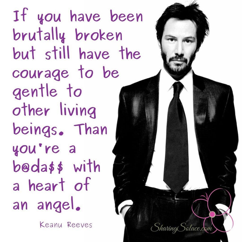SharingSolace's tweet photo. Repeat after me: I am a b@da$$ angel. I've survived 100% of my toughest days. I will survive 100% more of them.  #bgr8ful #Friday #IamSharingSolace 
•
•
•
•
#GriefSupport #GriefSucks #Grieving #GriefandLoss #LifeafterLoss #HappinessisaChoice #Grief #… https://t.co/rSOgM54mCQ https://t.co/Y9mLbxIFou