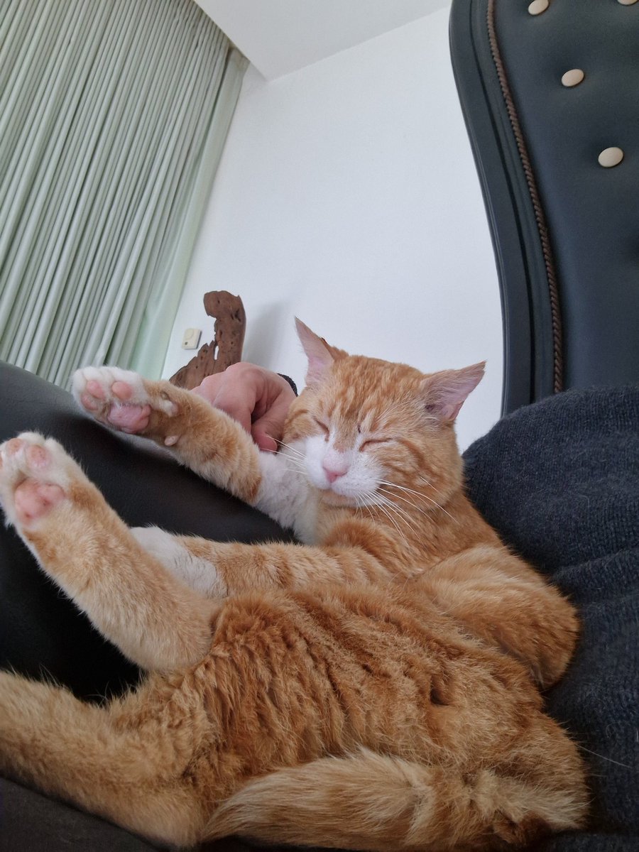 JB Descroix-Vernier tweet media