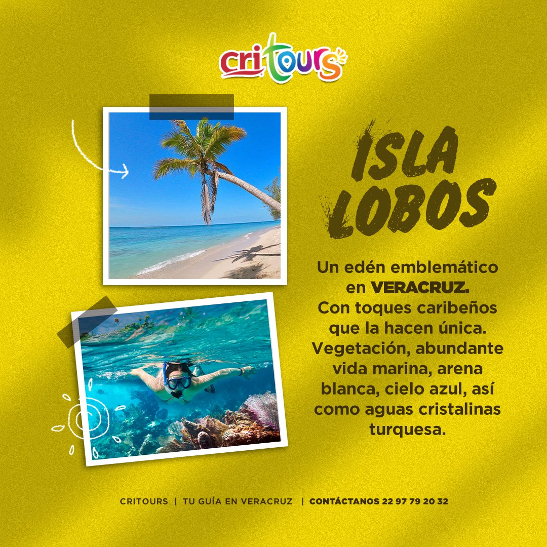 cri_tours's tweet photo. ¡La Isla Lobos en Tamiahua #Veracruz acaba de ser galardonada como el "Mejor destino emergente" del 2023 por México Desconocido 💯👏! 
Un destino paradisiaco que nadie se puede perder 🏝️🏆
#CriTours #TuGuíaEnVeracruz #VeracruzNosLlenaDeOrgullo #SoyTuristero https://t.co/xdnI2M6llc