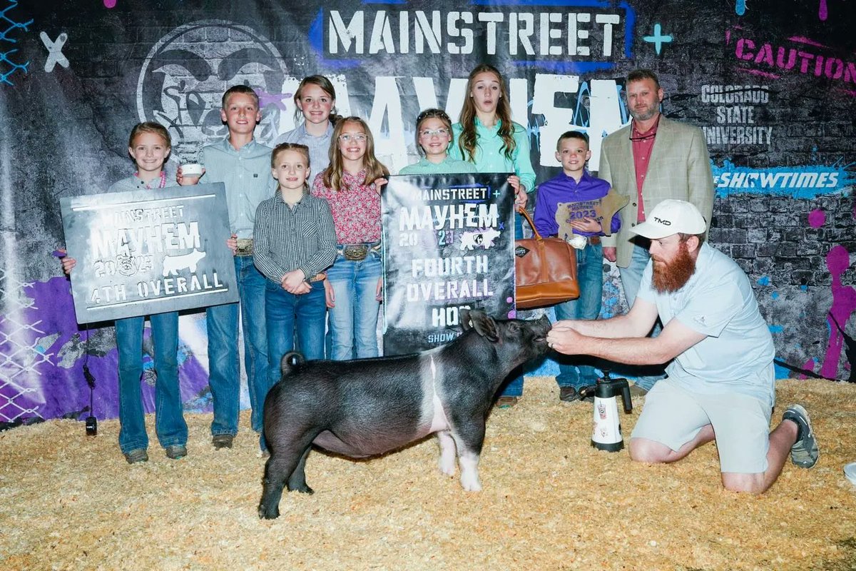 SGIBoars's tweet photo. CHAMPION HAMP &amp; 4TH OVERALL
2023 Mainstreet Mayhem Show, CO
Sired by :: FULL THROTTLE 
Raised by :: SD Genetics, NE
#SGIBOARS https://t.co/nYF8orUlcf