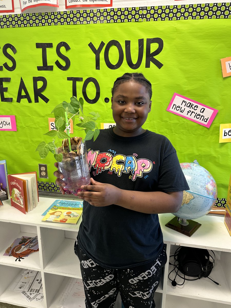 WinstonPrepLI's tweet photo. Alpha showing off their po0p bottle ecosystems. 
#winstonprep #wpsli #education #adhd #dyslexia #autism #scienceclass #science #privateschool #longisland https://t.co/ag5SjgIWMZ