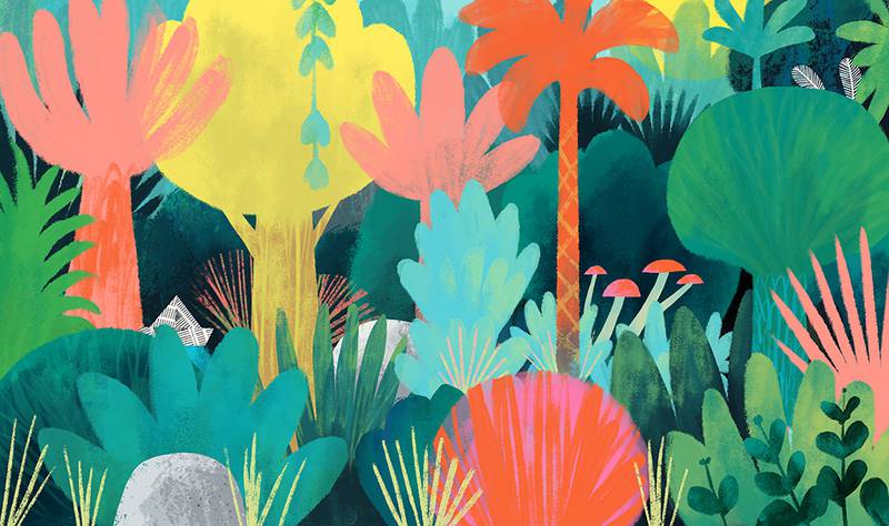 AmericanIllust's tweet photo. AI 41 Winner LEO ESPINOSA @studioespinosaworks
Case cover for the picture book "The Creature of Habit" depicting the #vegetation of the islands where the story takes place. The main characters are hidden in the illustration.
#art #illustration #aiap #americanillustration #ai41 https://t.co/wXEWdWJxYk