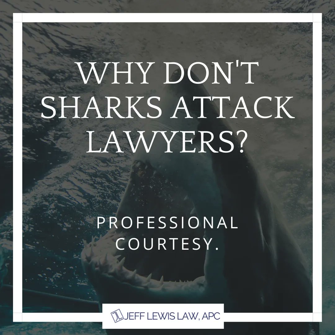 JeffLewisLaw's tweet photo. Why don't ๐ฆ sharks attack lawyers? Professional courtesy.
#lawhumor #legalmemes #lawyerjokes #lawjokes https://t.co/Y6MzxMMs7J