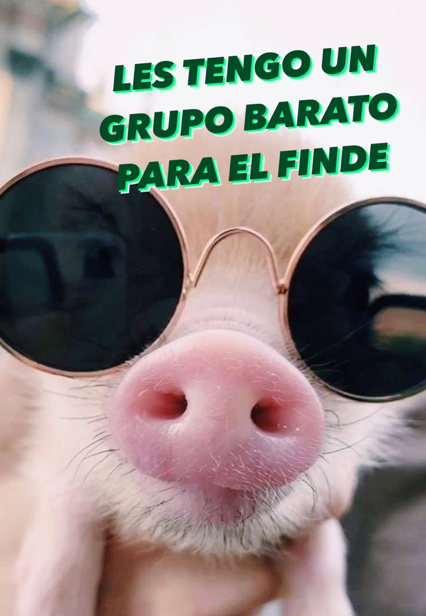LuisSilvaGG tweet picture