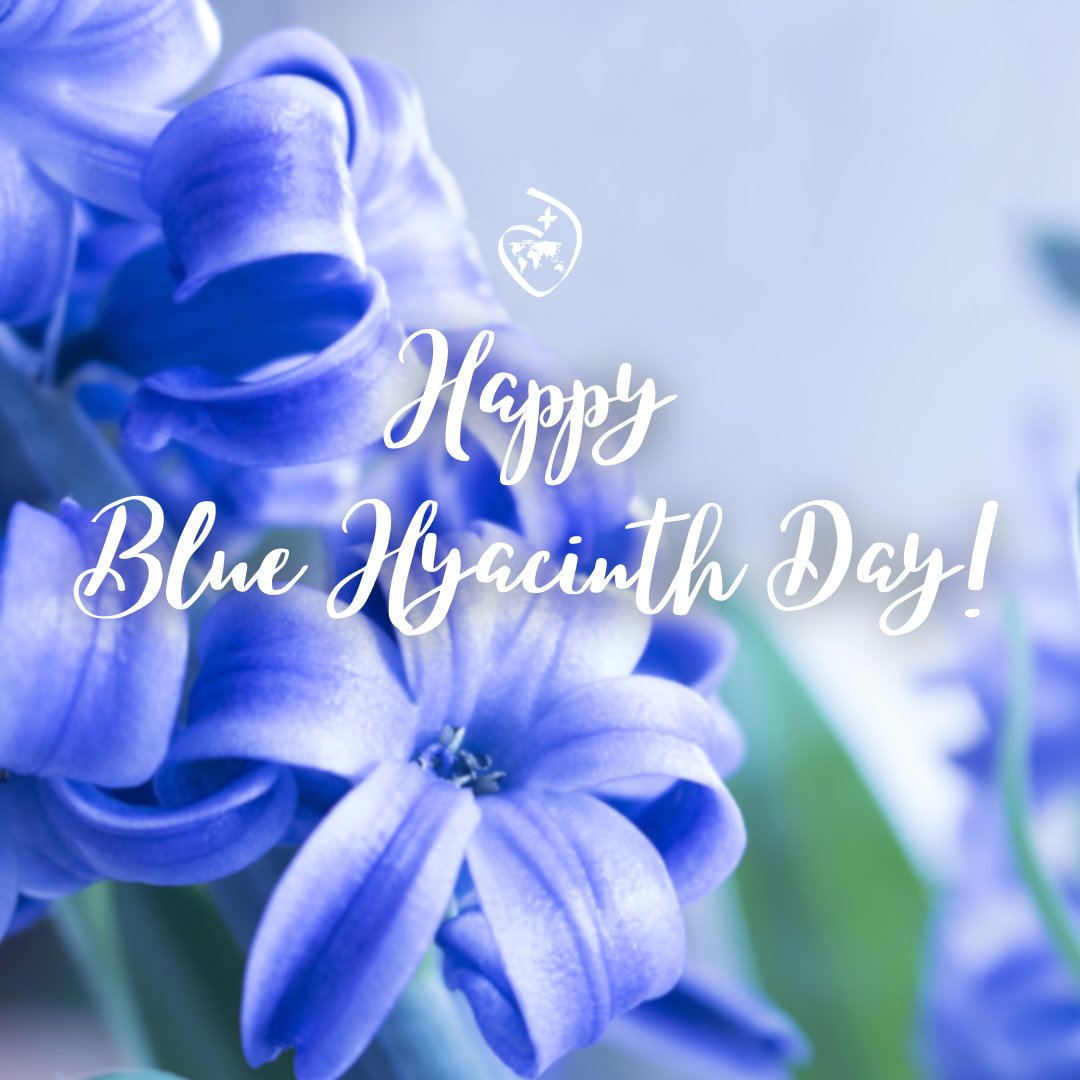 Today we celebrate Blue Hyacinth Day! 

This day commemorates the day (May 6, 1882) when Janet Erskine Stuart, RSCJ, had a life-changing  experience of God amidst a garden of blue hyacinths. In a flash of insight she knew and embraced the vocation to which God was inviting her.
