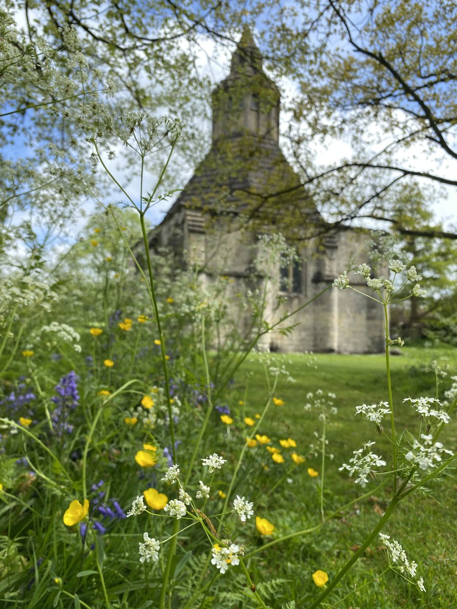 GlastonburyAbbe's tweet photo. Some more of the beautiful colours blooming in the abbey grounds to finish the week. We hope you've had a lovely one!

#FloraFriday #FridayFeeling #TGIF #Weekend #Outdoors #DaysOut #History #Heritage #AbbotsKitchen #GlastonburyAbbey #Glastonbury #Somerset #VisitSomerset https://t.co/xClquChGv3